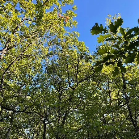 אתר קמפינג Ironvan Bernac (Lot-et-Garonne)