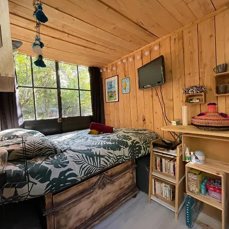 Ironvan אתר קמפינג