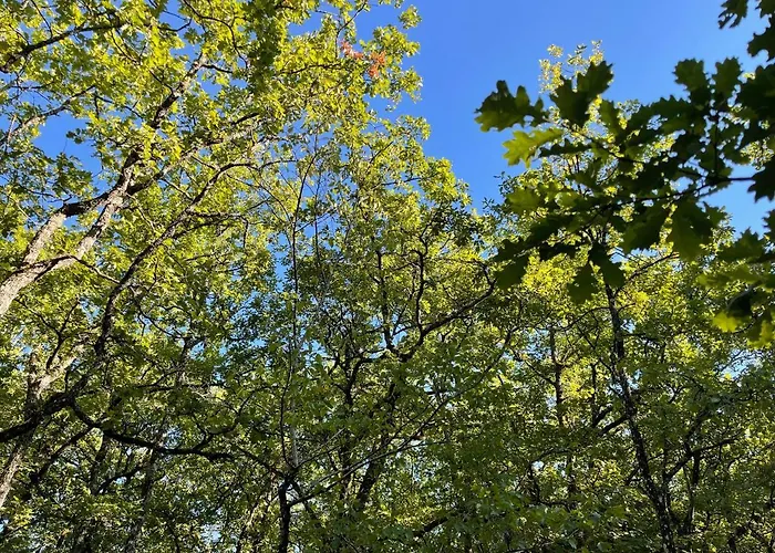 אתר קמפינג Ironvan Bernac (Lot-et-Garonne)