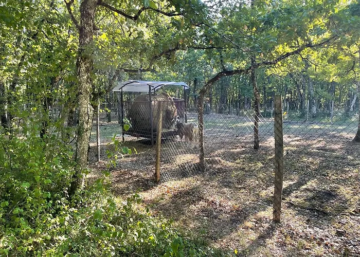 Ironvan אתר קמפינג